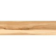 Керамогранит Nutwood 15NW0027 Бежевый 15x60