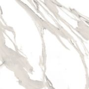 Calacatta Champagne