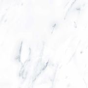 G283 Payer Grey