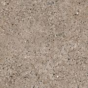 G292 Shikhan Beige