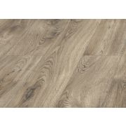 D3309 KRONOPOL Platinium Testa