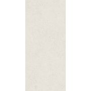 Керамогранит Форум Стоун Полар Сильвер 120х278