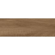 Керамогранит Фергана / Fergana GT206024904MCR Коричневый 20x60