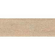 Керамогранит Маргилан / Margilan GT206024702MCR Бежевый 20x60