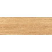 Керамогранит Бухара / BukharaGT206024619MCR Медовый 20x60