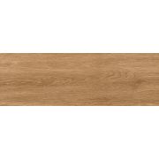 Керамогранит Бухара / BukharaGT206024604MCR Коричневый 20x60