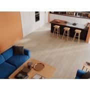 DIRETT0 1004-1