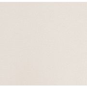 Обои Andrea Rossi Spectrum Plus 54355-19
