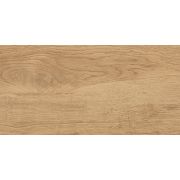 Керамогранит Florida GT220VG Бежевый 30x60