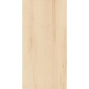 Керамогранит Italon Элемент Ачеро 60х120