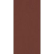 Керамогранит Italon Серфейс Эксклюзив Рэд 80х160