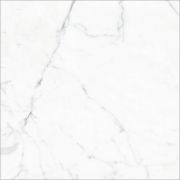 Керамогранит Elegant Statuario GT60604803PR Белый 60x60