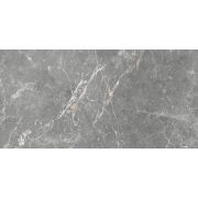 GT99VG Плитка облиц. Capella GT Сер. 50*25 _ 1 74,25